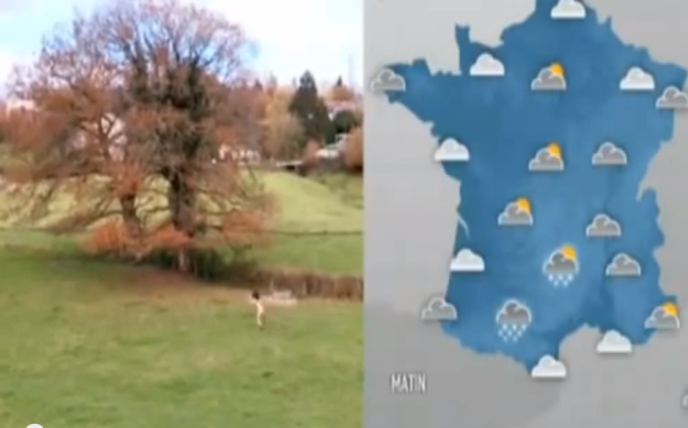 5. Den franska meteorologen Doria Tillier sprang naken på teve. Varför? För att hon hade lovat att göra precis det om hennes favoritlag i fotboll kvalade in i världscupen. 5. Den franska meteorologen Doria Tillier sprang naken på teve. Varför? För att hon hade lovat att göra precis det om hennes favoritlag i fotboll kvalade in i världscupen.